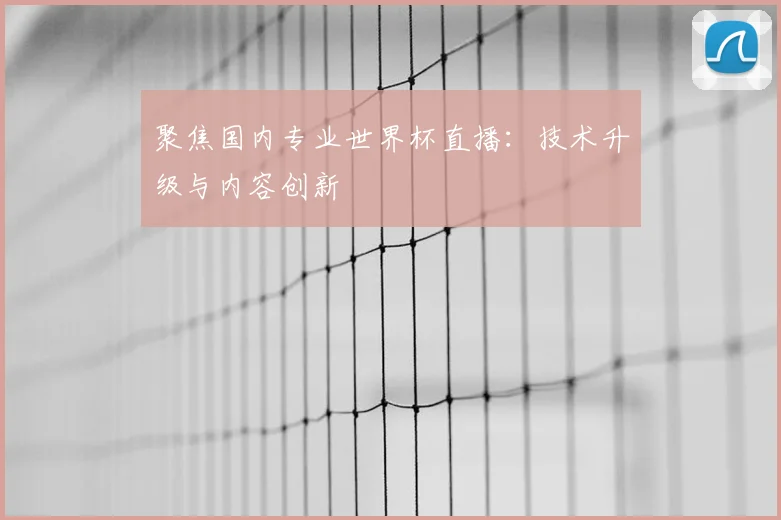 聚焦国内专业世界杯直播：技术升级与内容创新