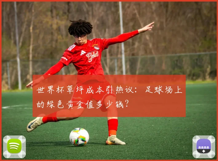 世界杯草坪成本引热议：足球场上的绿色黄金值多少钱？