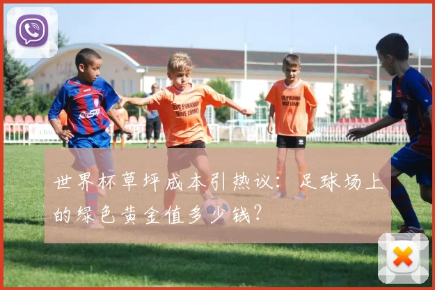 世界杯草坪成本引热议：足球场上的绿色黄金值多少钱？